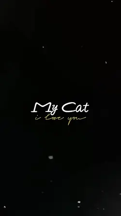 My cat 