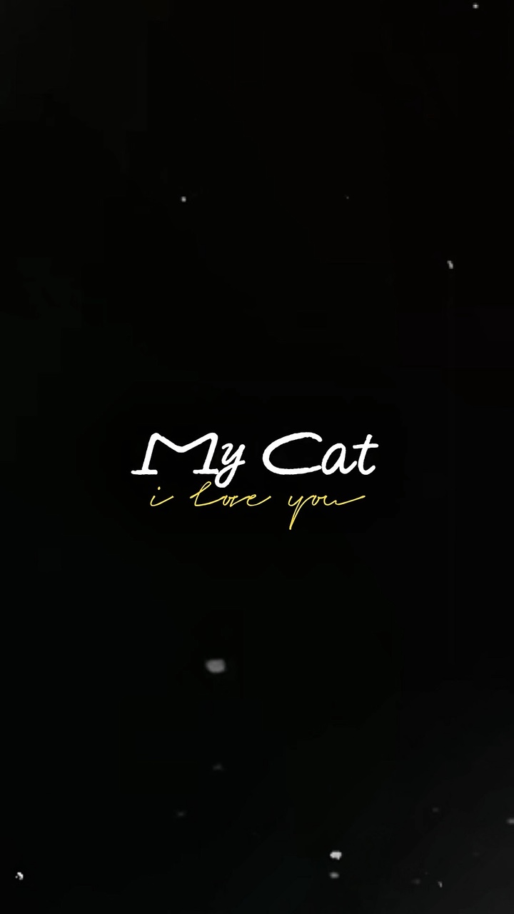 My cat 