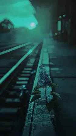 Simple clip