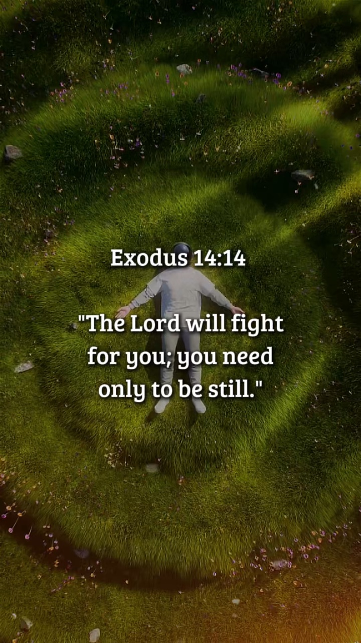 Éxodo 14: 14