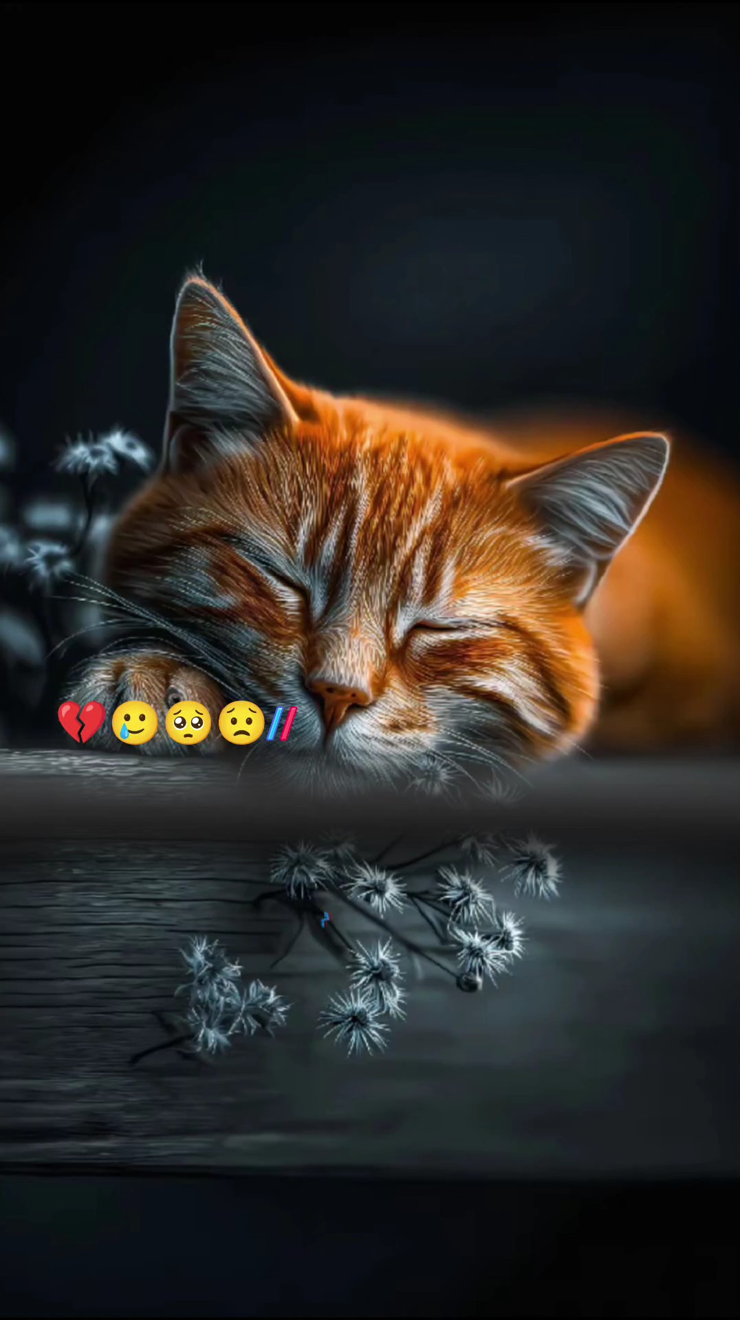 abraradil 