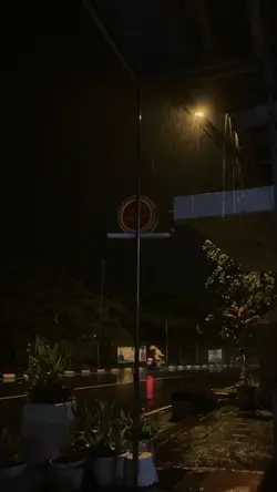 night vibes