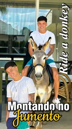 Montando no Jumento