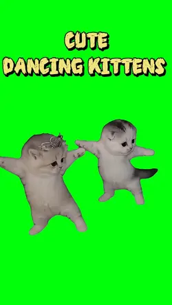 CUTE DANCING KITTENS