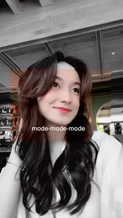 mode mode pesawat