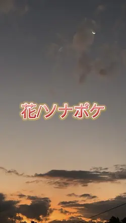 #花#ソナポケ