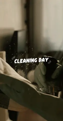 Cleaning Day