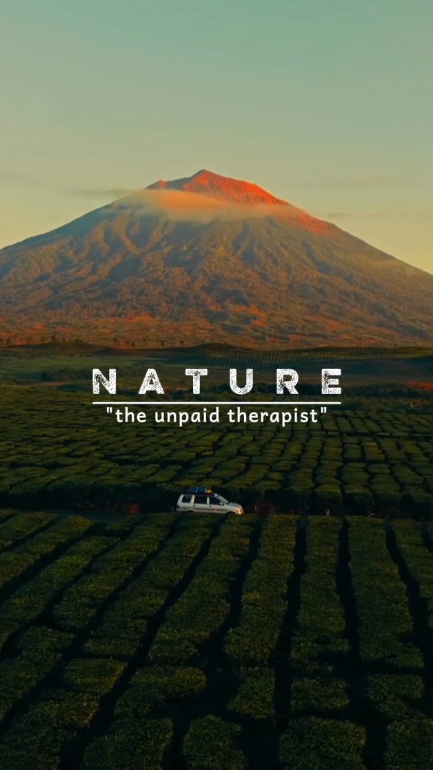 Terapeuta de Naturaleza
