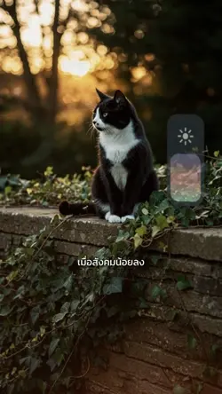 #เมื่อสังคมน้อยลง