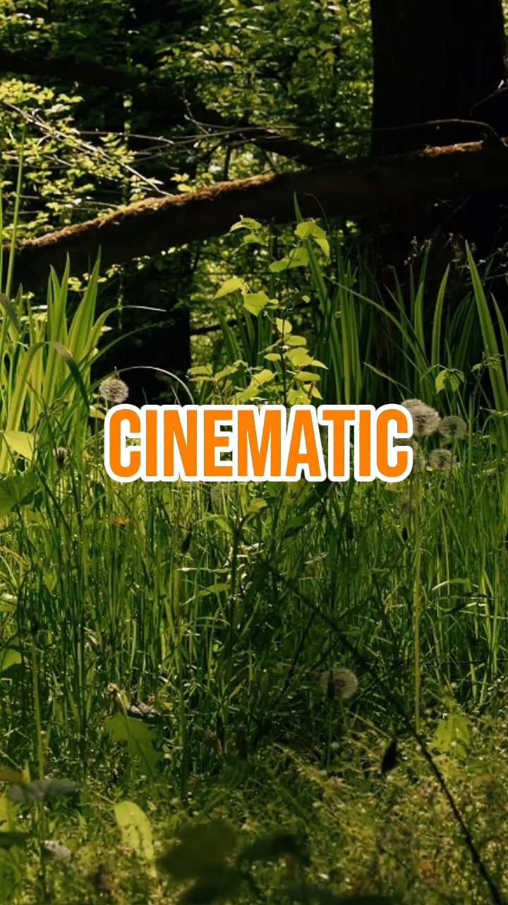 CINEMATIC 