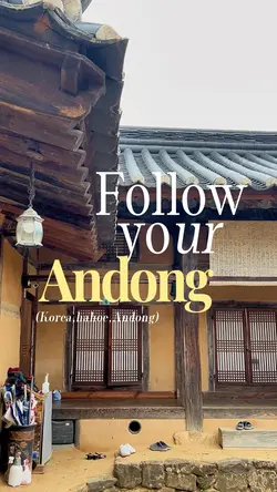 Follow your Andong🩷