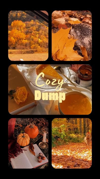 Cozy Dump 📸🍁