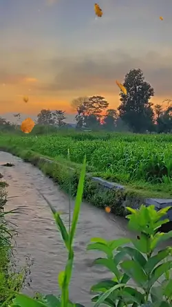 kembali merantau