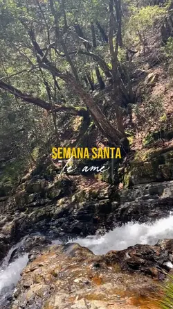 Mis vacaciones