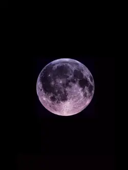 birthday moon🌙 📷~1~