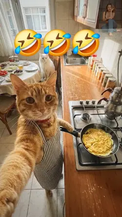 cate laugh