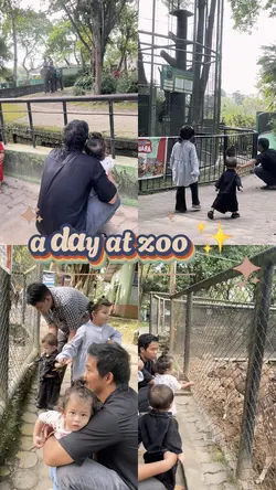 Zoo Time