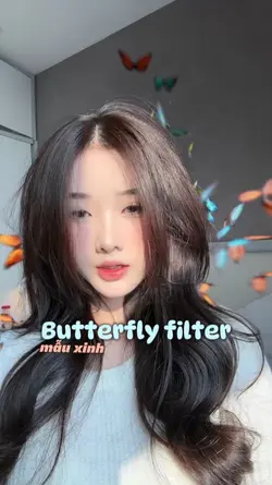 Butterfly filter