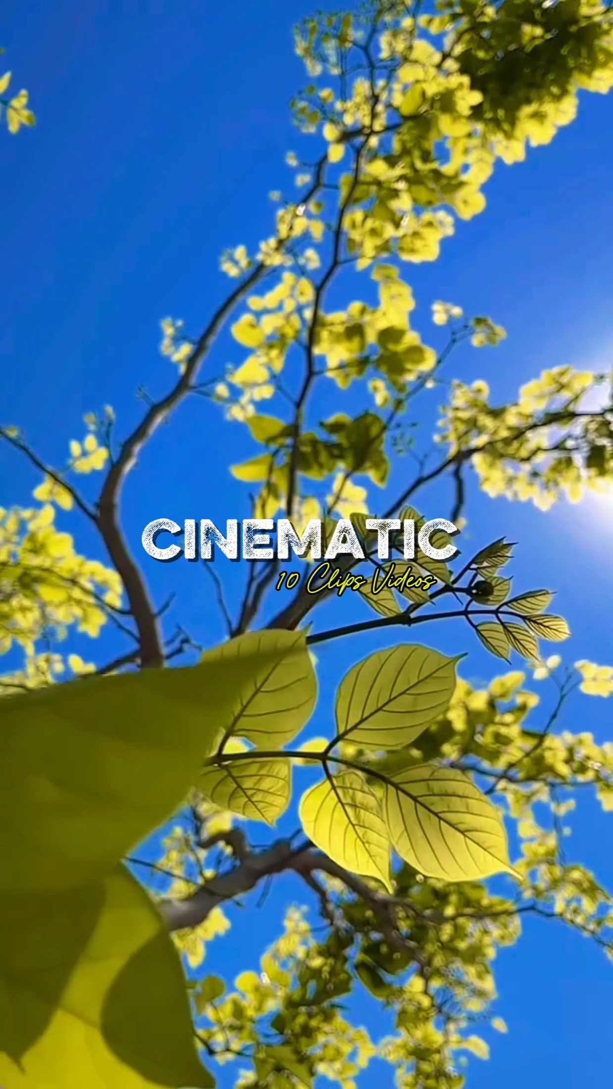 Cinematic 10 Videos 