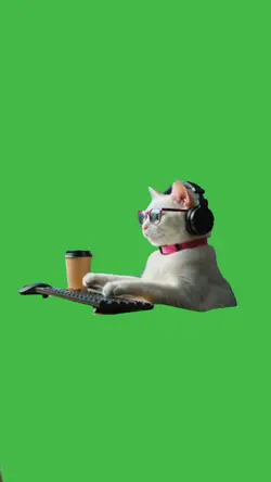Cat typing keyboard