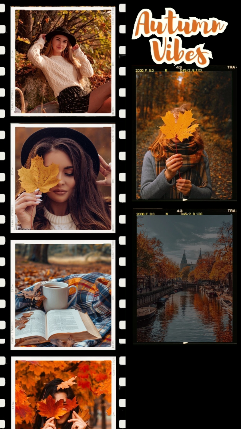 Autumn vibes