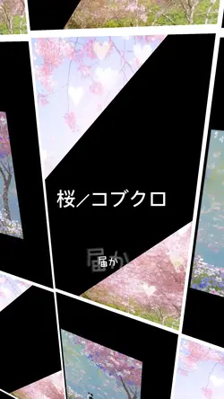 桜／コブクロ