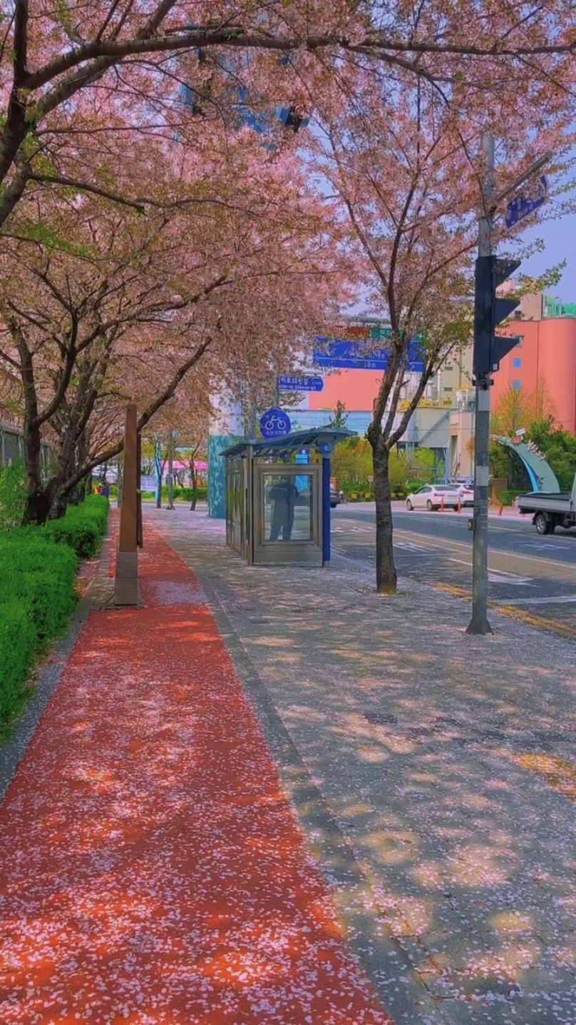 한국 분위기