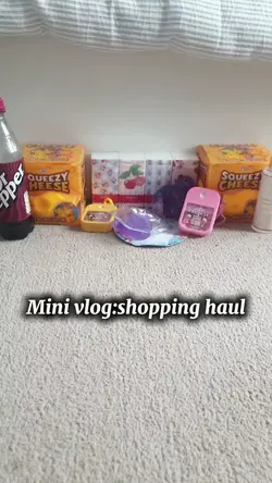 Mini vlog