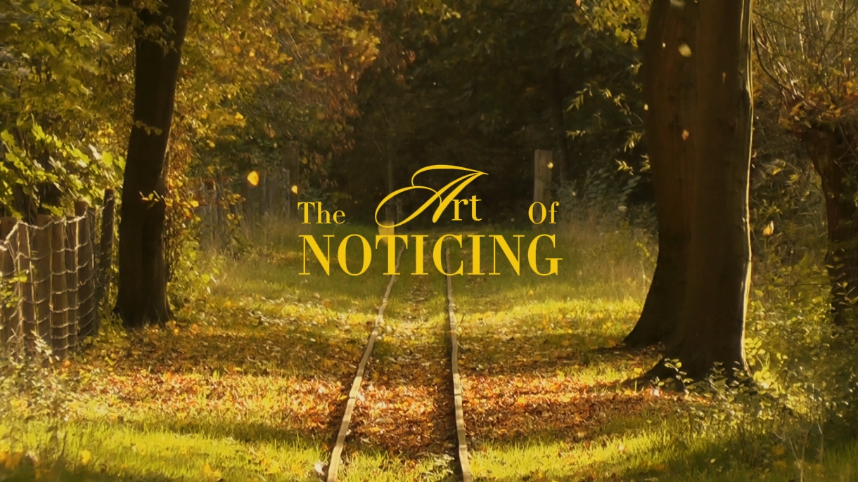 the art of noticing