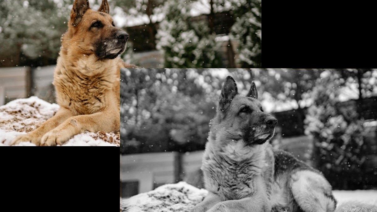 13 Bilder bearbeiten