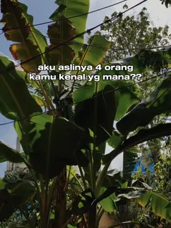 aku aslinya 4 orang