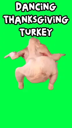 DANCING TURKEY