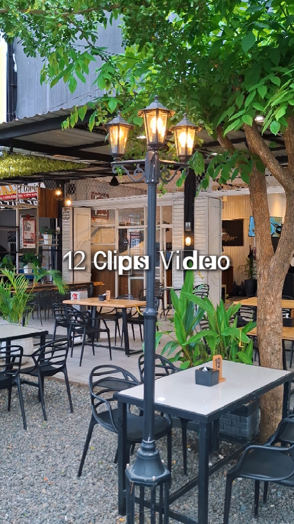 12 clips Vidéo