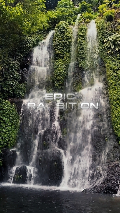 Epic Transition 