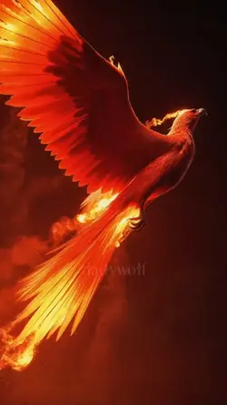 Phoenix #1