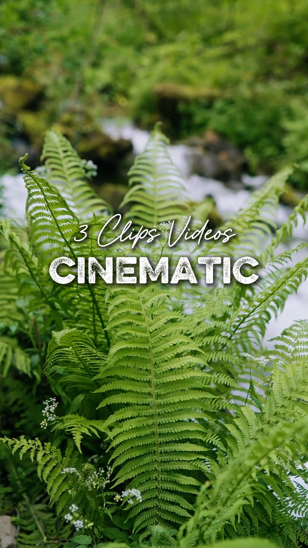 3 Vidéos Cinématiques
