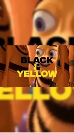 BLACK AND YELLOW