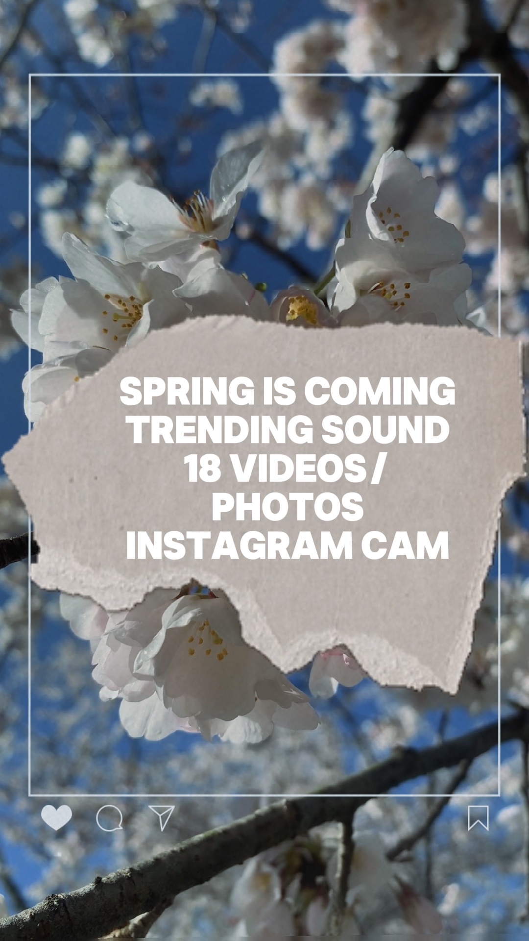 Spring is coming