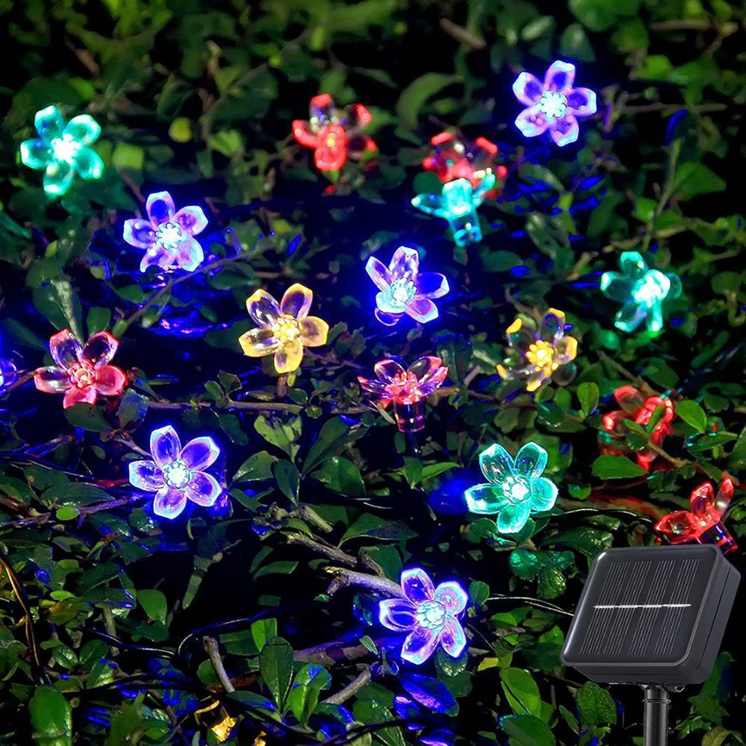 Solar light