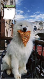 A day happy my dog