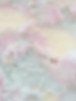 𝐄𝐃𝐈𝐓