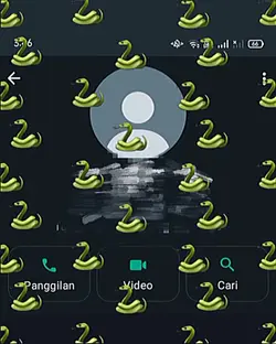 teman ular kontak wa