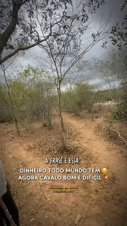 Cavalo bom é difícil