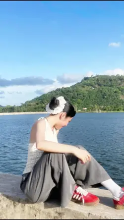 2 pics TV36311092243