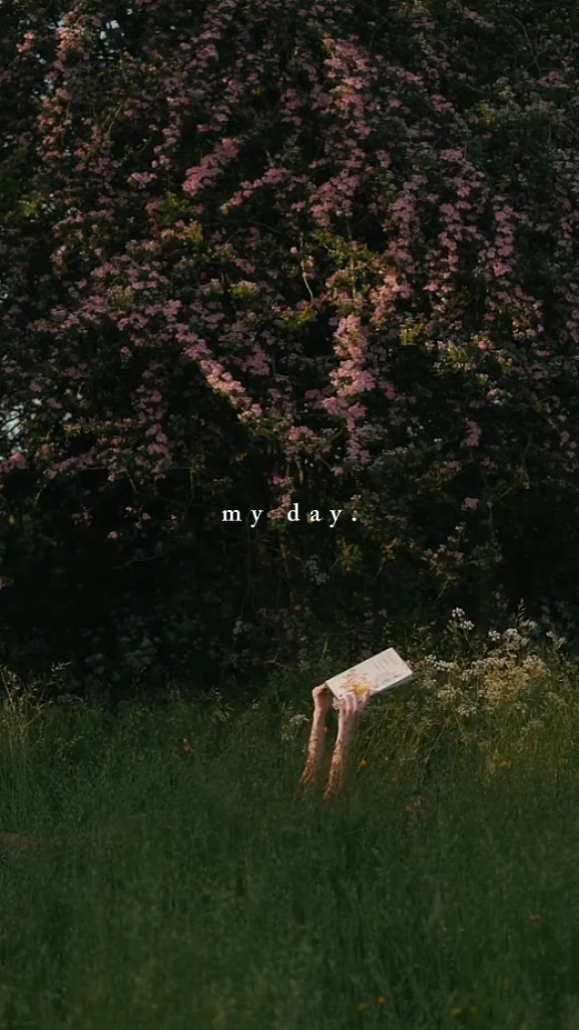 Mi día.
