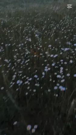 태연 to. x 가을 랩 커버