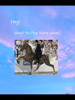 Horse abuse