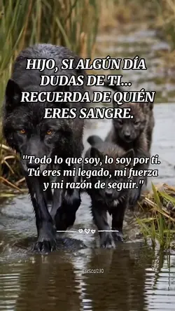 Mi Legado 