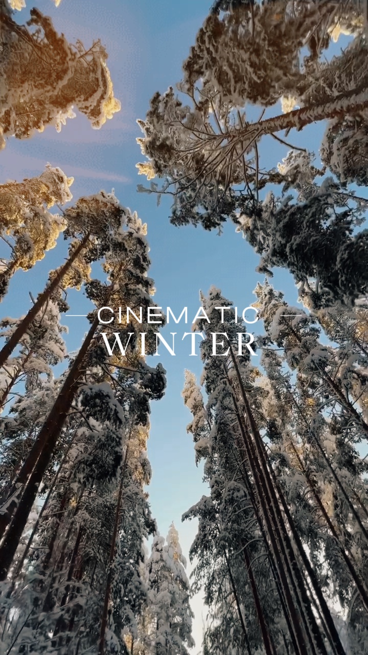 영화적인 겨울