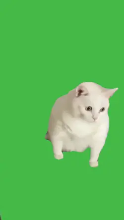 cat throw up meme